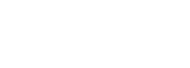WS-IT Global Logistics